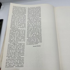 Drawing the Human Head Burne Hogarth 300 Illustration Hardcover Dust Jacket ‘77