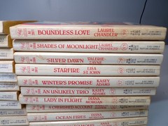 28 Rapture Romance Novels Multiple Titles Authors Numbers Paperback