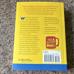 Callisto Publishing We’re Pregnant! Dad’s Handbook by Adrian Kulp (2018, PB)