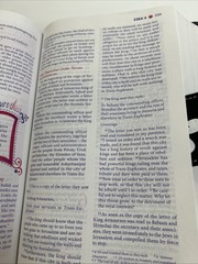 Faithgirlz! Bible by Zondervan Staff and Nancy Rue (2012, Leather)