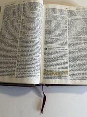 Christian Life Bible Burgundy Genuine Leather Leather NKJV