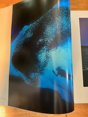 St. John U.S.V.I. Living Art Simonsen 2003 SIGNED Caribbean Photography 2nd Ed.