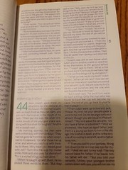 The FaithGirlz Faith Girls Bible – NIV – Hardback