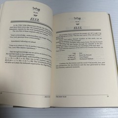 More Secrets of Hebrew Words Holy Happy Days Benjamin Blech 1993 HC DJ Judaism