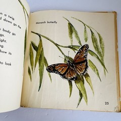 What Is A Butterfly Book 1958 Gene Darby What Is It Series Vintage MCM Science