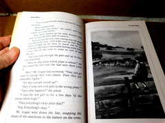 Jenny Wren~By Dawn L. Watkins 1986 Stains, But Still Very Readable