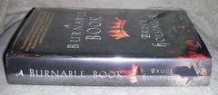 A BURNABLE BOOK by Bruce Holsinger 2014 HC/DJ ~ 1st Edition 1st Printing + Cover