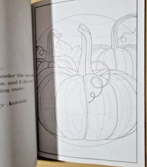 COLORFUL ESCAPES – A Bounty of Color! Vol. 22 – Adult Coloring Book – 47 Pages