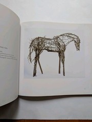 Deborah Butterfield Horse Sculptures Art Book Robert Gordon Abrams Hardcover VG