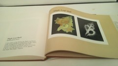 Nature’s Art : The Inner and Outer Dimensions of the Shell by William A. Conklin