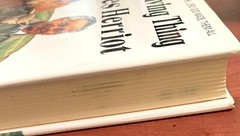Every Living Thing Hardcover James Herriot Short Stories Animals Memoir Humor