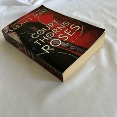 A Court Of Thorns And Roses Sarah J. Maas Paperback Oop
