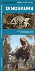 Dinosaurs, 2nd Ed: A Folding Pocket – pamphlet, James Kavanagh Water, 1620052873