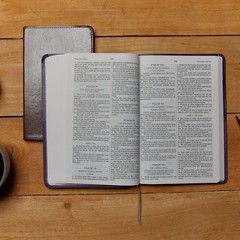 KJV Holy Bible: Value Large Print Thinline, Pink Leathersoft, Red Letter,…