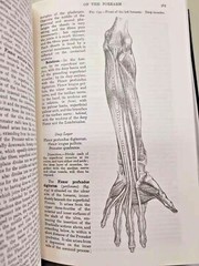 GRAY’S ANATOMY by Henry Gray Deluxe Collectible Bonded Leather *NEW SEALED*