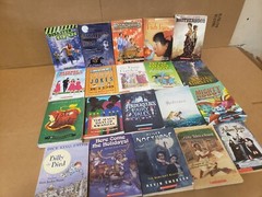 Lot of 100 Chapter INSTANT LIBRARY Children RANDOM~MYSTERY BOX~UNSORTED BOOK MIX