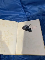 Childcraft Annual 1976 Prehistoric Animals – How and why Library
