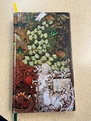Only Revolutions by Mark Z. Danielewski Pre-Publication w/ Different Boards LN