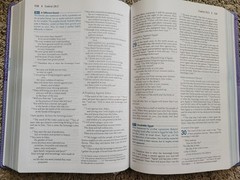 NIV, Student Bible, Leathersoft, Purple imitation leather
