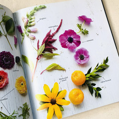 Flower Recipe Book by Alethea Harampolis and Jill Rizzo (2013, Hardcover)