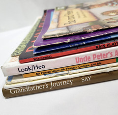Kids Books About Cultural Diversity Lot Of 10 Around The World Asian Black