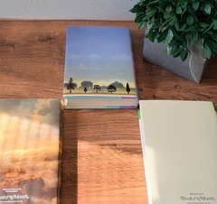 Book of the Month Hardcover Bundle 3 Literary Fiction Jones McConaghy Ryan