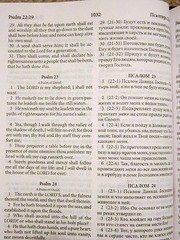 Russian/English Parallel BIble,Blue Grey ImitationLeather,Synodal/King James