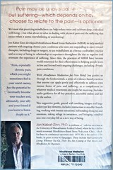 Mindfulness Meditation for Pain Relief by Jon Kabat-Zinn (softcover, mint)