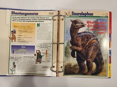 Dinosaur Cards By Newfield Publication 1994. 3 Ring Binder and 83 Pages/Inserts