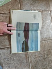 Time of Wonder by Robert McCloskey