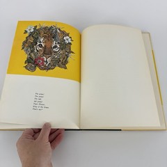 SIGNED Tiger Flower by Robert Vavra 1973, HC Around Flour Cowles’ Paintings 1st