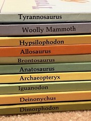 Lot Vintage Dinosaur Library Books Set Of 10 HC Rourke Publishing 80s Hardback