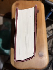Daniel by John Calvin 2 Vols. In 1-BANNER OF TRUTH Geneva series 800 Pages