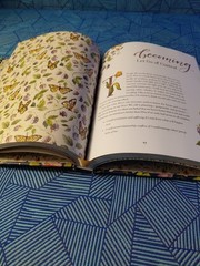 Beholding and Becoming: The Art of Everyday Worship by Ruth Chou Simons HC