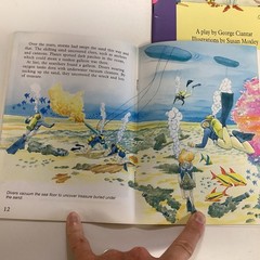 Sunshine Reader 2nd Grade 17 Book Lot Rigby Wright