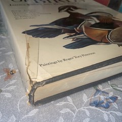THE WORLD OF BIRDS, J. Fisher, Roger Tory Peterson, 1st Ed, 1964, HCDJ