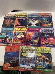 Lot Of 23 Vintage Goosebumps Books. Many First Prints. RL Stine