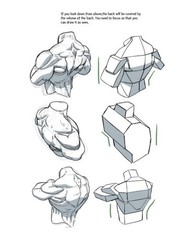 Character Drawing By Dong Ho Kim Superani Illustrator Human Body Guide Book