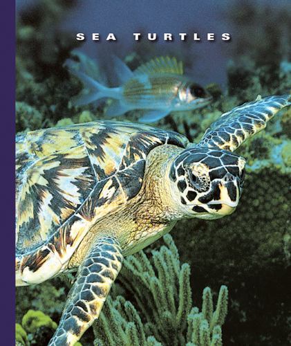 Sea Turtles (The World of Reptiles, 1256) by Sophie Lockwood