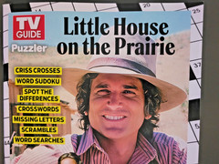 Little House On The Prairie Puzzler by TV Guide-Variety of Games With Show Theme