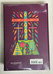 ESV the Biggest Story Holy Bible for Kids (Hardcover) — Kevin DeYoung – Bible