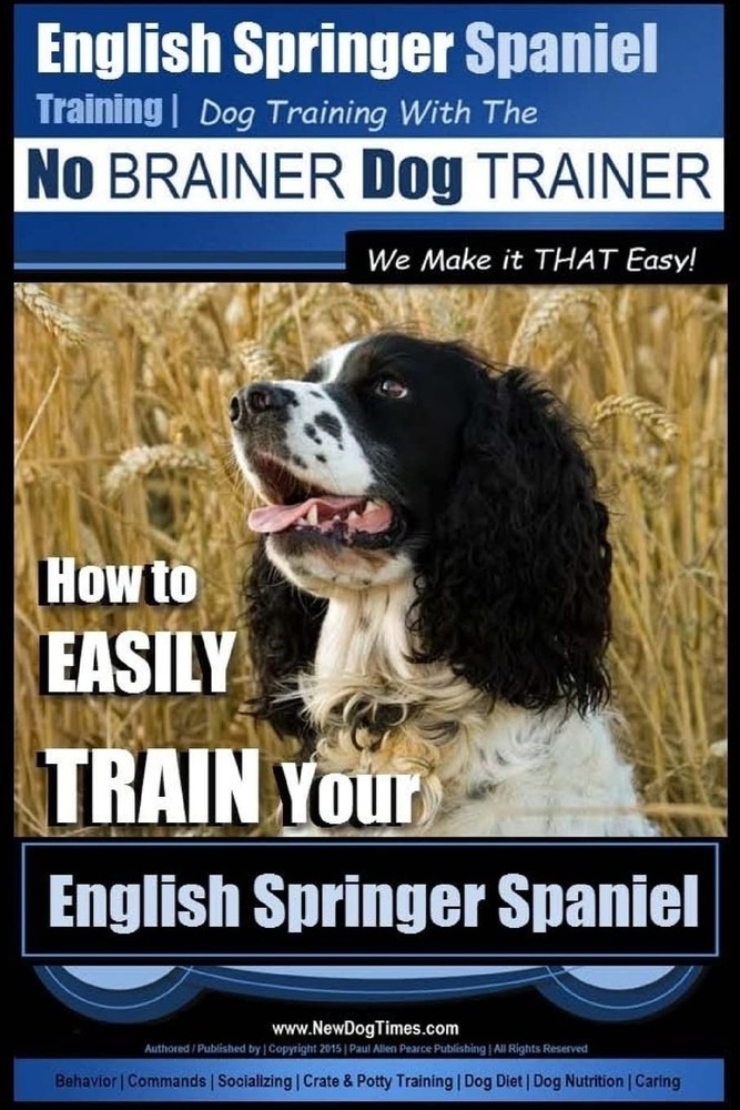 English Springer Spaniel Training | Dog Training with the No BRAINER Dog TRA…