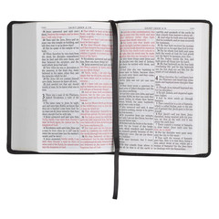 KJV Holy Bible, Compact Large Print Faux Leather Red Letter Edition – Ribbon Mar