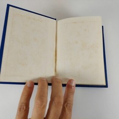 Peace Lagoon Sacred Songs Of The Sikhs The Collected Hymns 1989 Printing HC