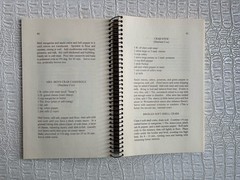 VTG Ashantilly Cookbook Darien Georgia Wire Spiral Bound Haynes Family 200 Pages