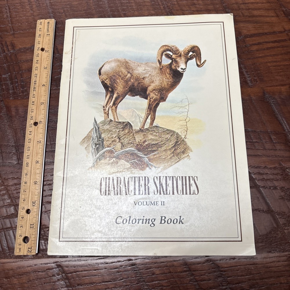 Character Sketches Coloring Book From the Pages of Scripture, Volume II unused