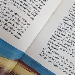 Exile and Return: The Bible and Its Story – Illustrated HC by Enrico Galbiati