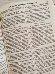 Bible Latin / English The New Testament Clementine Vulgate & Challoner Rheims