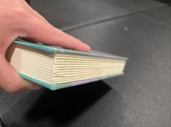Chesapeake Song By Brenda Richardson FIRST EDITION