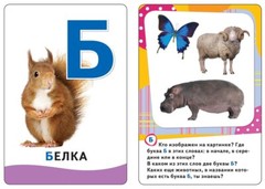 Буквы. Развивающие карточки 0+ Набор Карточек Kids Book in Russian